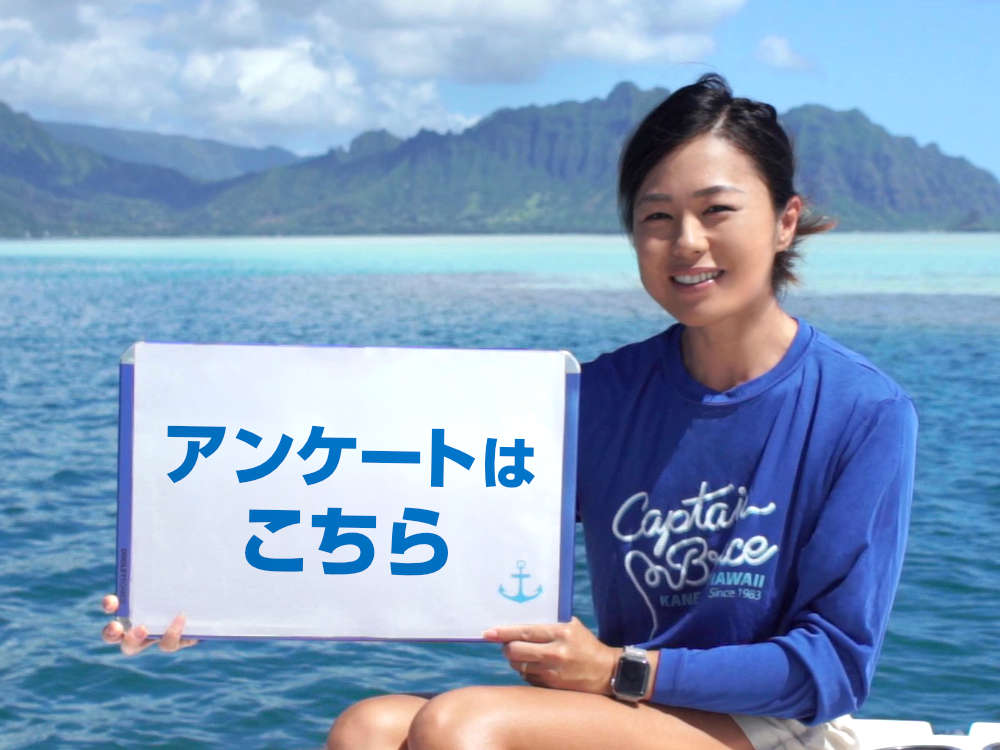 サービス改善に向けてご意見をお聞かせください