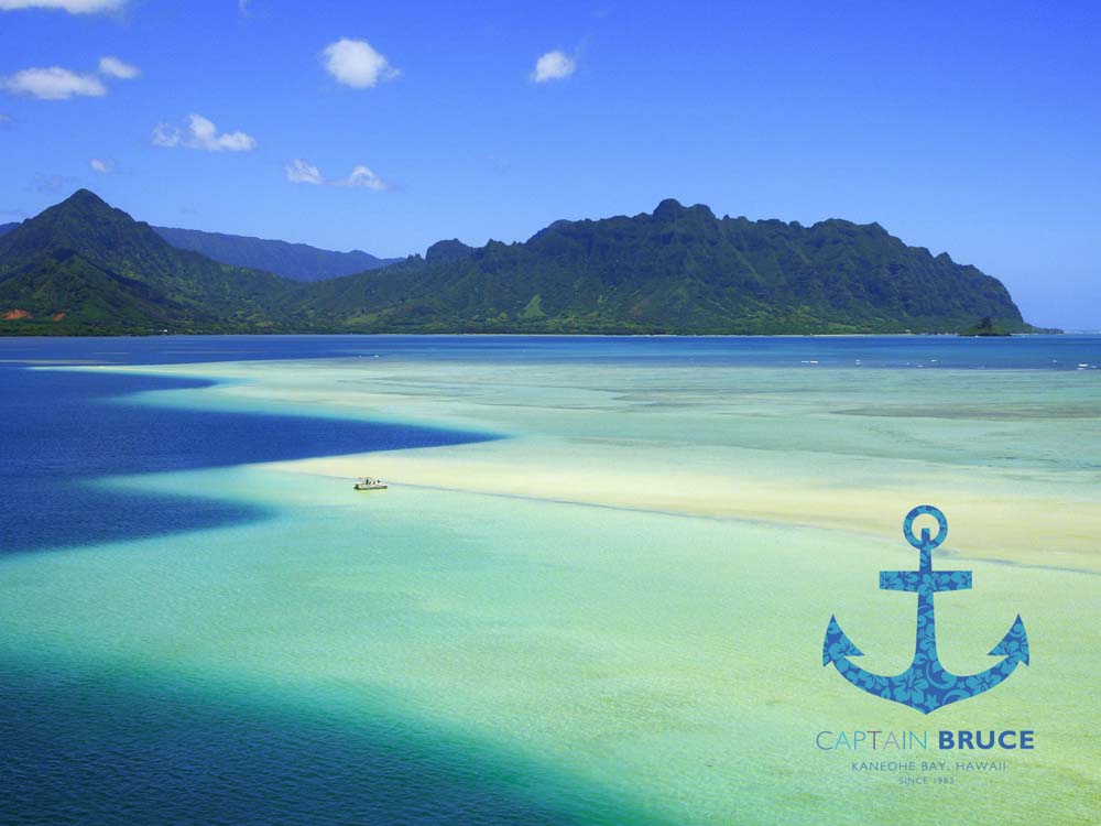 Kaneohe Sandbar Snorkeling Tour