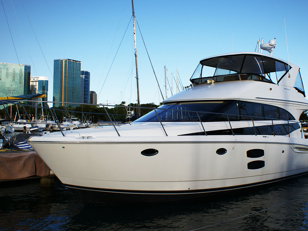 Serendipity at Kewalo Basin Harbor