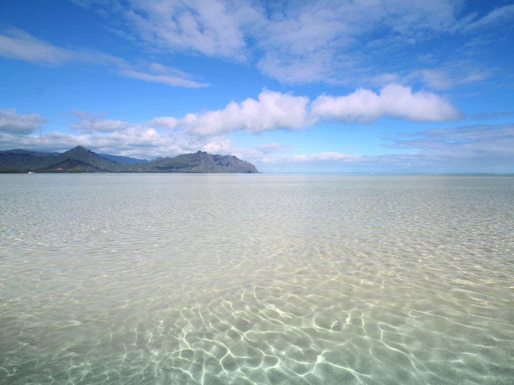 What is the best time to go to Kaneohe sandbar?